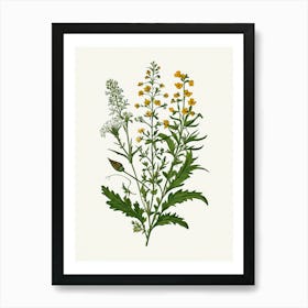 Vintage Botanical Galleria Style Wildflower Painting 33 Art Print