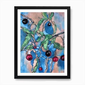 Black Currant 1 Classic Fruit Art Print