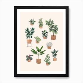 Plants Collection 6 Art Print