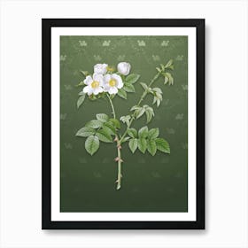 Vintage White Flowered Rose Botanical on Lunar Green Pattern n.1017 Art Print