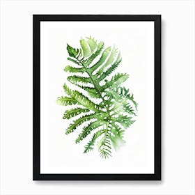 Christmas Fern Watercolour Art Print