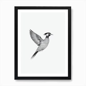 Pheasant B&W Pencil Drawing 3 Bird Art Print