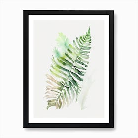 Sensitive Fern 1 Watercolour Art Print