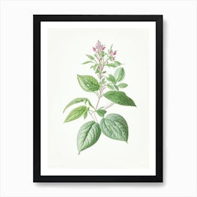 Peppermint Floral Quentin Blake Inspired Illustration 1 Flower Art Print