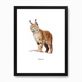 Bobcat Kids Animal Poster Art Print