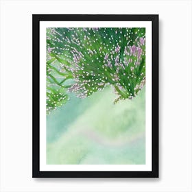 Acropora Loripes Ii Storybook Watercolour Art Print