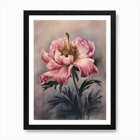 Pink Peony 3 Art Print