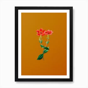 Vintage Bunge's Lychnis Flower Botanical on Sunset Orange n.0944 Art Print