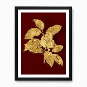 Vintage Stewartia Tree Botanical in Gold on Red Art Print