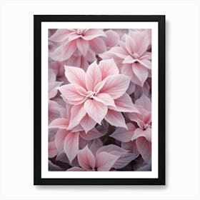 Frosty Botanical Poinsettia 4 Art Print