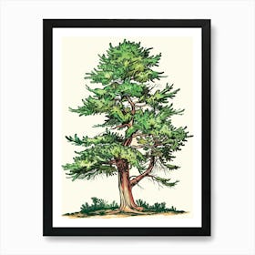 Cypress Tree Storybook Illustration 3 Art Print