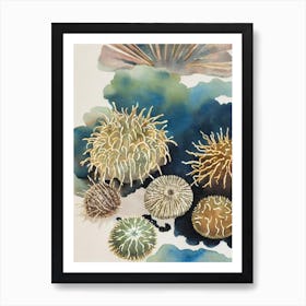 Sea Urchin Vintage Graphic Watercolour Art Print