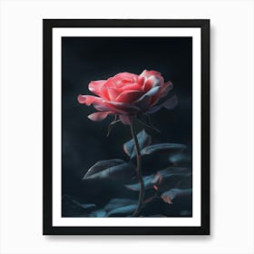 Dark Rose 29 Art Print