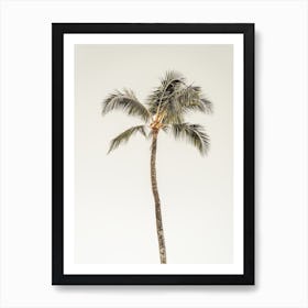 Single Palm Tree Art Print