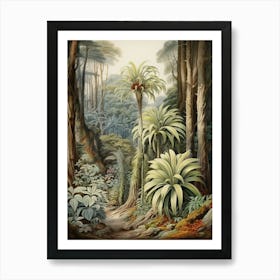 Vintage Jungle Botanical Illustration Cordyline 1 Art Print