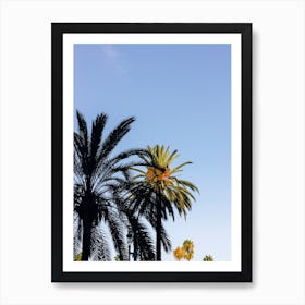 Palm On Blue Sky Art Print