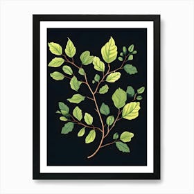 Elm Tree Branch Art Print