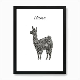 B&W Llama Poster Art Print