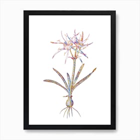 Stained Glass Streambank Spiderlily Mosaic Botanical Illustration on White n.0328 Art Print