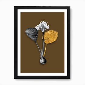 Vintage Cardwell Lily Black and White Gold Leaf Floral Art on Coffee Brown n.0215 Art Print