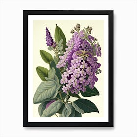 Lilac Floral 2 Botanical Vintage Poster Flower Art Print
