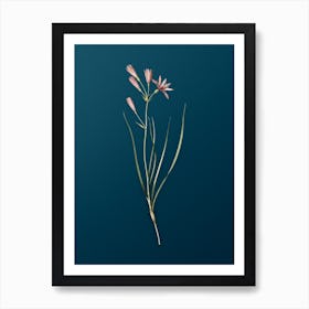 Vintage Amaryllis Montana Botanical Art on Teal Blue n.0046 Art Print