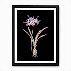 Stained Glass Guernsey Lily Mosaic Botanical Illustration on Black n.0004 Art Print