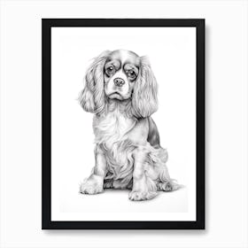 Cavalier King Charles Spaniel Dog, Line Drawing 3 Art Print