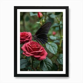 Butterfly On Roses 3 Art Print