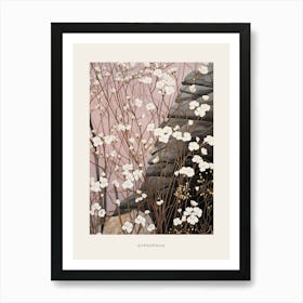 Flower Illustration Gypsophila Babys Breath 6 Poster Art Print