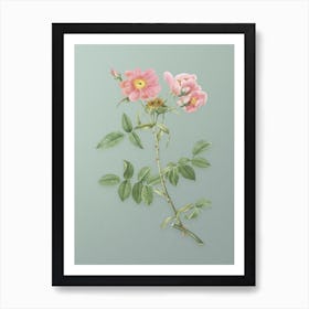 Vintage Lady Monson Rose Bloom Botanical Art on Mint Green n.0699 Art Print