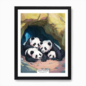 Giant Panda Family Sleeping In A Cave Poster 1 Art Print