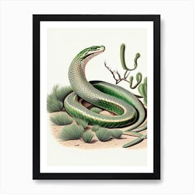 Mojave Green Rattlesnake 1 Vintage Art Print