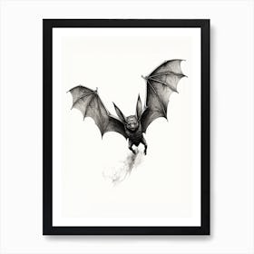 Big Free Tailed Bat Vintage Illustration 1 Art Print