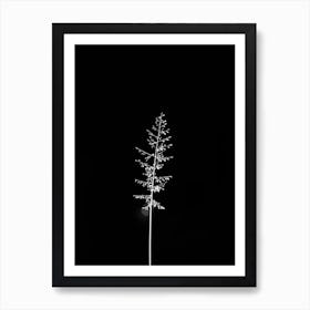 Black And White Art Print