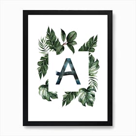 Botanical Alphabet A Art Print