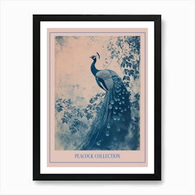 Blue Peacock & Ivory Cyanotype Inspired Poster Art Print