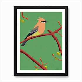 Cedar Waxwing 3 Midcentury Illustration Bird Art Print