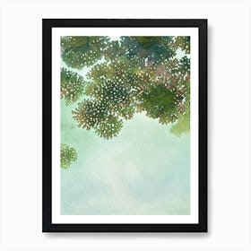 Acropora Nana Ii Storybook Watercolour Art Print