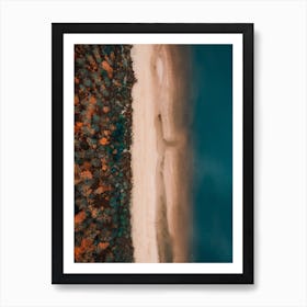 Baltic Coast Art Print