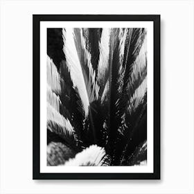 Windy Palm leaves // Ibiza Nature & Travel Photography Art Print