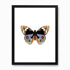 American Lady Butterfly Art Print