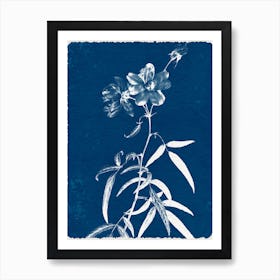 Nature's Blueprint Art Print