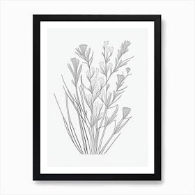 Ephedra Herb William Morris Inspired Line Drawing 3 Art Print