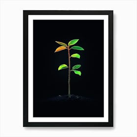 Green Leaf On A Black Background Art Print