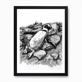 Emperor Penguin Sunbathing On Rocks 4 Art Print