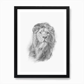 Lion Handrawn Black And White Art Print