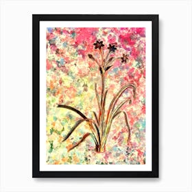 Impressionist Crytanthus Vittatus Botanical Painting in Blush Pink and Gold Art Print