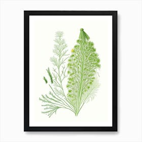 Dill Spices And Herbs Pencil Illustration 1 Art Print