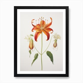 Pressed Flower Botanical Art Gloriosa Lily 2 Art Print